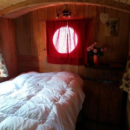 فيلا Roulotte Du Pere Noel Ban-sur-Meurthe-Clefcy المظهر الخارجي الصورة